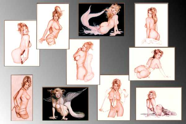 Olivia - The Sandra Taylor Collection